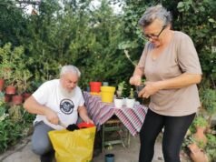 Korak kroz tradiciju – druženje uz sadnju i lekovite biljke Korak kroz tradiciju