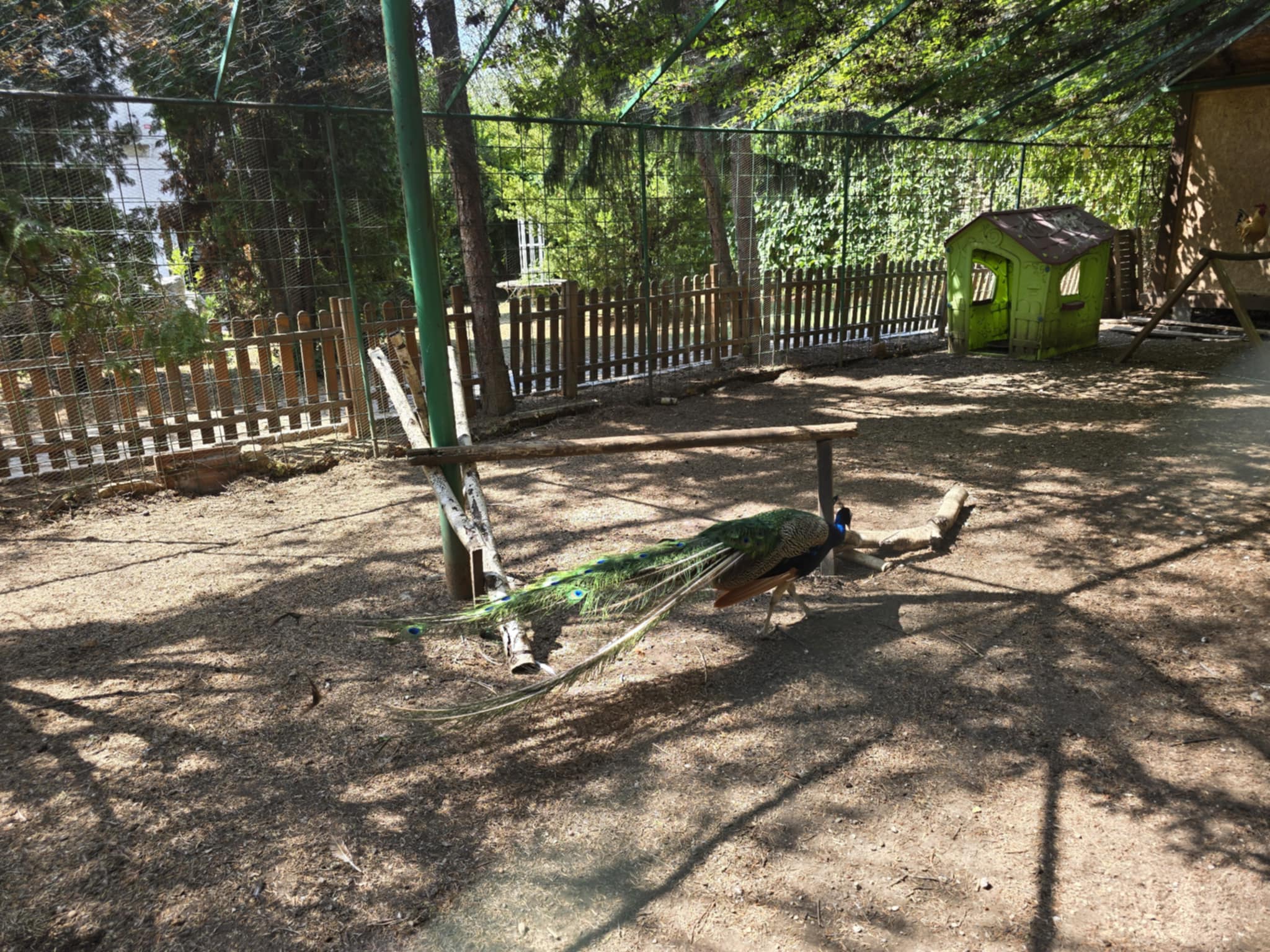 Mini zoo u Gradskoj bašti