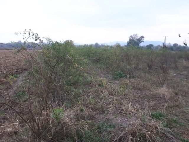 Parcele državnog poljoprivrednog zemljišta Parcele državnog poljoprivrednog zemljišta