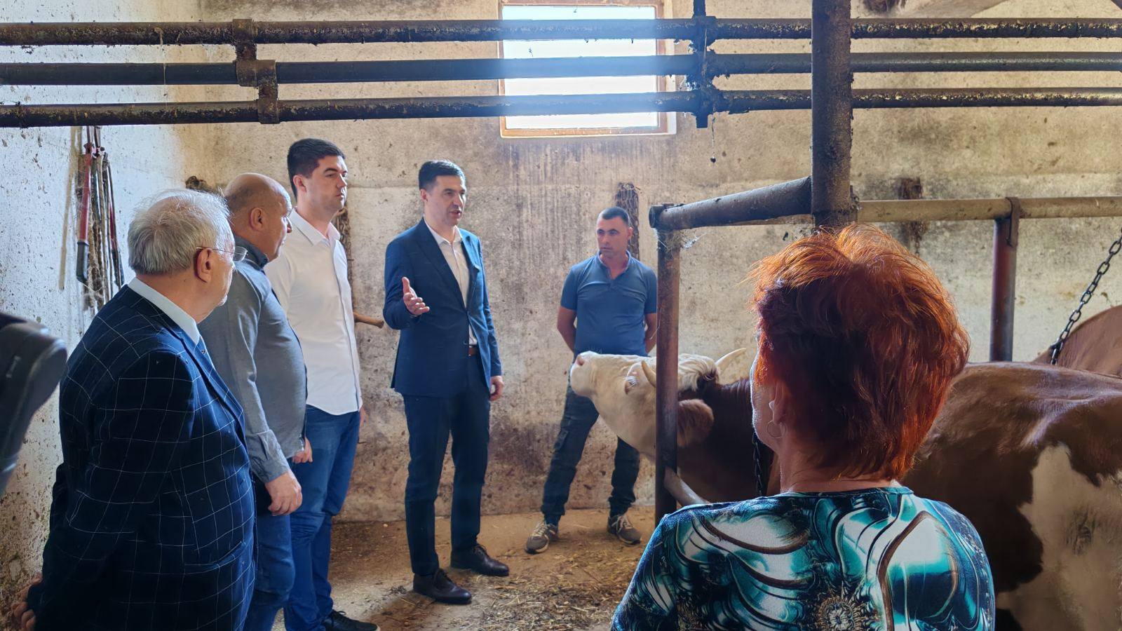 Pavlović u obilasku gazdinstva Gocić