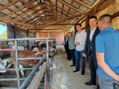 Grad Niš podržava poljoprivrdu, porodično gazdinstvo Gocić iz Mezgraje primer uspešnog seoskog života Porodično gazdinstvo Gocić