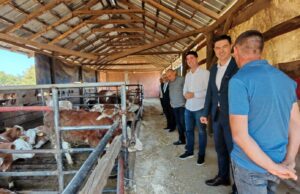 Grad Niš podržava poljoprivrdu, porodično gazdinstvo Gocić iz Mezgraje primer uspešnog seoskog života Porodično gazdinstvo Gocić