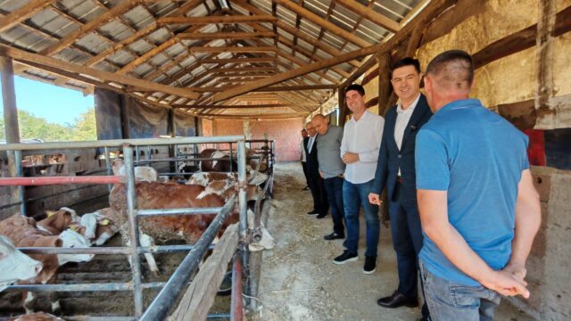 Porodično gazdinstvo Gocić