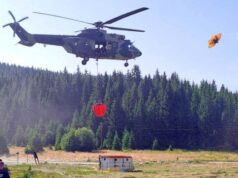 Veliki požar kod Niša: Dim se širi do centra grada, požar u Jasenoviku gase i helikopterske jedinice Požar u Jasenoviku