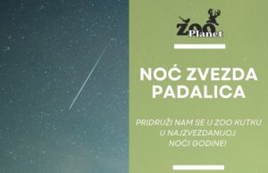 Večeras i sutra – gledanje zvezda padalica u ZOO Kutku u Kamenici Večeras i sutra - gledanje zvezda padalica u ZOO Kutku u Kamenici