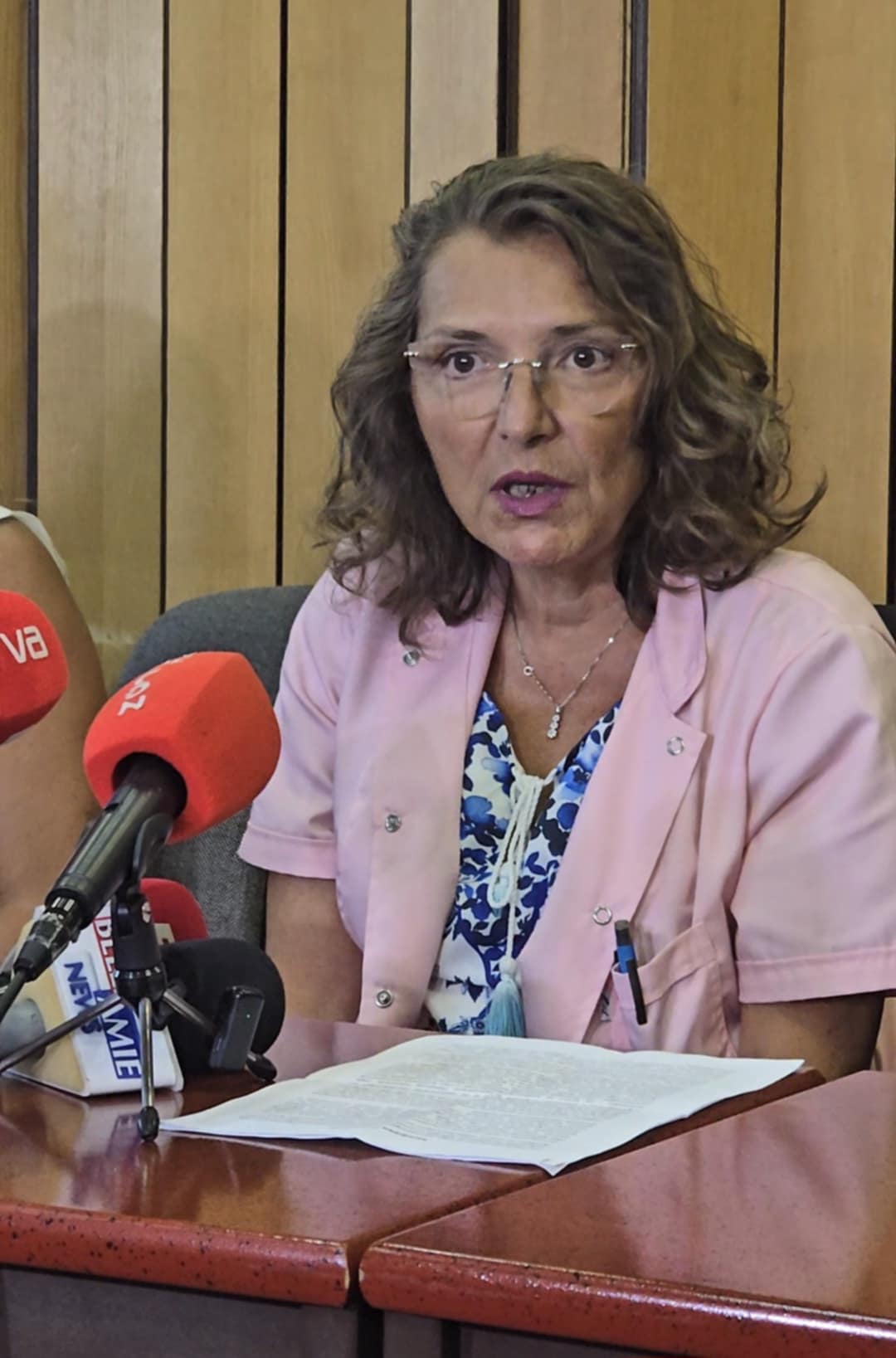 prof. dr Jelena Vojinović