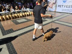 Otvoren Festival pasa u Nišu uz poruku „Udomi, ne kupuj” Festival pasa u Nišu