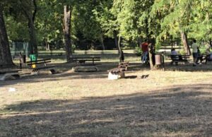 I prostor za pse u Čairu dobiće novi izgled po meri vlasnika ljubimaca I prostor za pse u Čairu dobiće novi izgled