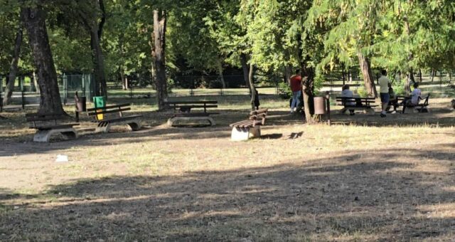 I prostor za pse u Čairu dobiće novi izgled