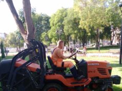 JКP „Mediana“ Niš – Uređenje zelenila u ulici Maksima Gorkog i Vojvode Tankosića