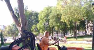 JКP „Mediana“ Niš – Uređenje zelenila u ulici Maksima Gorkog i Vojvode Tankosića