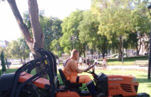 JКP „Mediana“ Niš – Uređenje zelenila u ulici Maksima Gorkog i Vojvode Tankosića JКP Mediana Niš