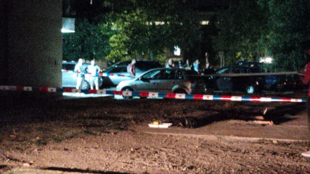 Ubistvo u Knjaževačkoj ulici