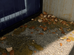 Protest u Nišu zbog pritvora studenta – gađanje jajima prostorija Pokreta za narod i državu Jaja na prostorije Pokreta za narod i državu