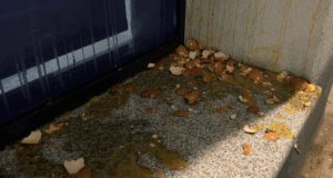 Protest u Nišu zbog pritvora studenta – gađanje jajima prostorija Pokreta za narod i državu Jaja na prostorije Pokreta za narod i državu