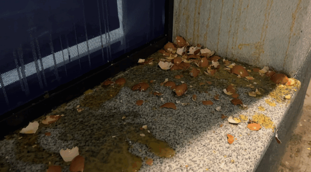 Jaja na prostorije Pokreta za narod i državu Jaja na prostorije Pokreta za narod i državu