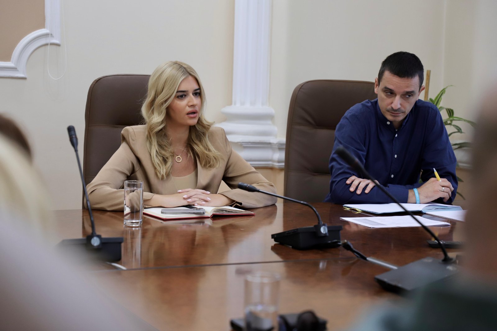 Komisija za zaštitu spomenika, spomen-obeležja i ratnih memorijala 
