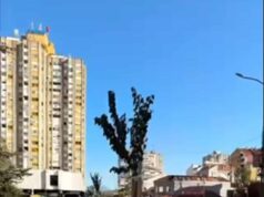 Pilot akcija ozelenjavanja urbanog prostora u Nišu Ozelenjavanje urbanog prostora u Nišu