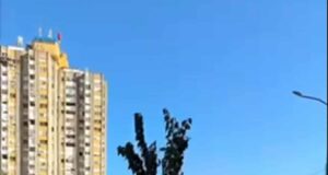 Pilot akcija ozelenjavanja urbanog prostora u Nišu Ozelenjavanje urbanog prostora u Nišu