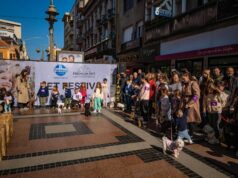 Festival pasa sutra ispred Foruma: revija, takmičenja i udomljavanje Pet festival