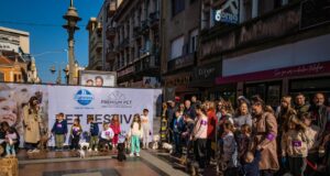 Festival pasa sutra ispred Foruma: revija, takmičenja i udomljavanje Pet festival