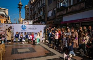 Festival pasa sutra ispred Foruma: revija, takmičenja i udomljavanje Pet festival