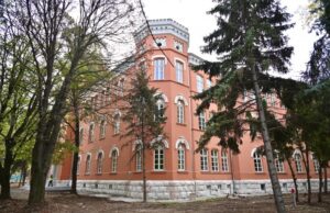 Žena preminula nakon što je na nju palo drvo u dvorištu Prekršajnog suda u Nišu Prekršajnog suda u Nišu