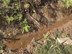 Misteriozna voda preti kućama u Donjoj Vrežini: „IZBACUJEMO JE, ALI ONA STALNO NADOLAZI“ Voda u ulici ulice Vojnika Marka Mladenovića