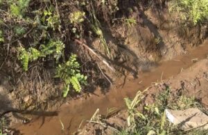 Misteriozna voda preti kućama u Donjoj Vrežini: „IZBACUJEMO JE, ALI ONA STALNO NADOLAZI“ Voda u ulici ulice Vojnika Marka Mladenovića