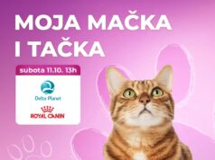 Biraju se najlepše mace – izložba „Moja mačka i tačka” u Delta Planetu
