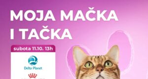 Biraju se najlepše mace – izložba „Moja mačka i tačka” u Delta Planetu