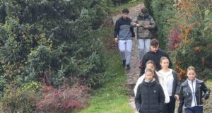 Karate klub „Niš” osvojio tri medalje na Prvenstvu regiona u Bajinoj Bašti Karate klub Niš