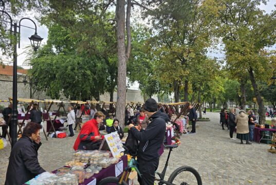 Miris detinjstva u parku kod Tvrđave: Održana druga „Salčićijada” Salčićijada 2025.