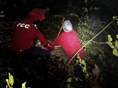 Spasioci Gorske službe pronašli izgubljenu ženu u šumi kod Surdulice Starija žena koja je zalutala u šumi