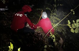 Spasioci Gorske službe pronašli izgubljenu ženu u šumi kod Surdulice Starija žena koja je zalutala u šumi