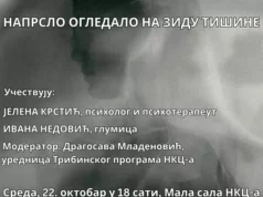 Tribina protiv nasilja nad ženama u Niškom kulturnom centru Tribina protiv nasilja nad ženama