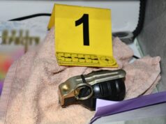 Uhapšeni osumnjičeni za bacanje bombe u dvorište kuće u Nišu