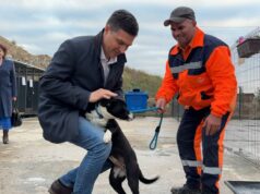 Prihvatilište za napuštene pse proširuje se za 113 mesta – imaće uskoro ukupno 500 mesta Dragoslav Pavlović u prihvatilištu za pse