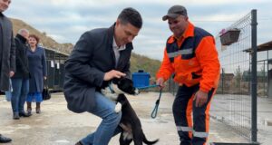 Prihvatilište za napuštene pse proširuje se za 113 mesta – imaće uskoro ukupno 500 mesta Dragoslav Pavlović u prihvatilištu za pse