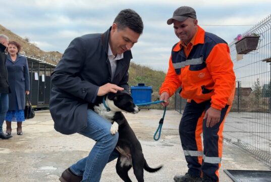 Prihvatilište za napuštene pse proširuje se za 113 mesta – imaće uskoro ukupno 500 mesta Dragoslav Pavlović u prihvatilištu za pse