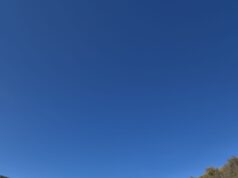 Mošti Svetog Gavrila Gruzijskog stigle u manastir Tumane Ikona Svetog starca Gavrila Gruzijskog