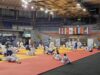 Parada džudoa i sporta u Nišu: Šampioni svetskog glasa na velikom masterklasu Akademije „Ivezić” Masterklas džudoa Akademije Ivezić