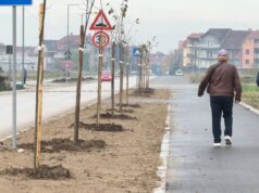 Nakon asfalta i gradskog prevoza, meštani ulice Dr Miloša Đorića dobili i drvored Ulica Dr Miloša Đorića