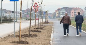 Nakon asfalta i gradskog prevoza, meštani ulice Dr Miloša Đorića dobili i drvored Ulica Dr Miloša Đorića