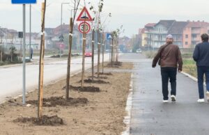 Nakon asfalta i gradskog prevoza, meštani ulice Dr Miloša Đorića dobili i drvored Ulica Dr Miloša Đorića
