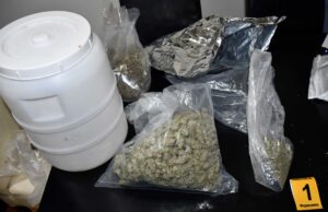 Uhapšene četiri osobe zbog droge u Nišu Marihuana