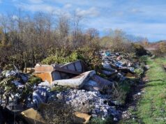 Meštani Malče traže reciklažno dvorište umesto divlje deponije pored „svetog drveta” Divlja deponija u Malči