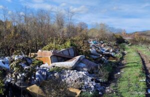 Meštani Malče traže reciklažno dvorište umesto divlje deponije pored „svetog drveta” Divlja deponija u Malči