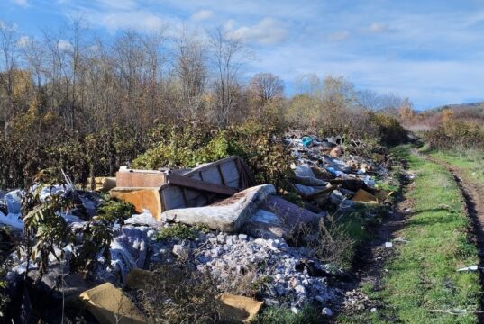 Meštani Malče traže reciklažno dvorište umesto divlje deponije pored „svetog drveta” Divlja deponija u Malči