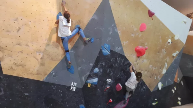 Državno prvenstvo u sportskom penjanju za starije